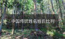 中国人的传统姓名中,姓氏的比列情况如何?