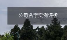 对不同公司名称进行评析的实例分析