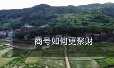 如何通过增强品牌形象和营销策略来提升商号的财富积累能力?