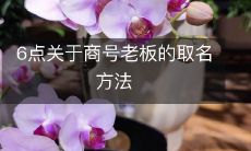 六大要点详解:如何为商号老板量身定制个性化、独具创意的命名方式?