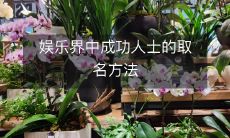 独具匠心的娱乐界成功人士姓名创制策略揭秘