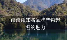 深入探讨知名品牌产品命名的迷人之处:从起名的艺术魅力到品牌口感的结合体验