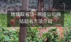 介绍网络公司网站起名方法的地域取名法