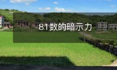 探究81个数字所隐含的深层意义和暗示力