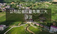 在为公司命名时,应避免哪三个常见的误区?