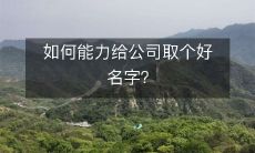 如何运用您的能力帮助公司找到一个优秀的命名方案？