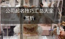 探究公司命名艺术的终极指南:全面解析公司起名技巧并深度赏析