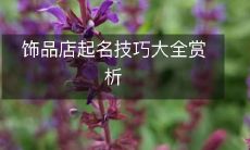 深入解析饰品店起名技巧，让你在起名犯愁时游刃有余！