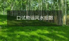 提升口试表现的秘密武器:掌握助运风水招数