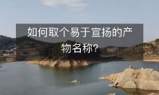 如何选取一个易于传播宣传的产品名称?