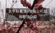 介绍吉字取名法:食品公司选择商号的方法探讨