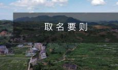如何在取名时遵循正确原则以避免出错?