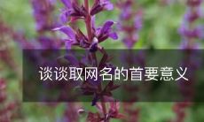 深入探讨选择网名的关键作用和重要意义,以及如何在网络世界中建立个人品牌的关键要素