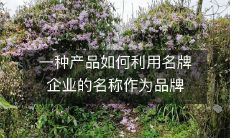 塑造策略来提高收益和市场份额:探讨一种利用知名企业品牌名称的产品品牌打造策略