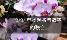 谈论在产品命名中应用数字的联动效应