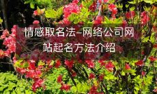 详解情感取名法：如何用情感元素为网络公司网站起名？