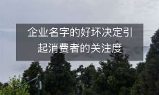 为什么企业名称的质量直接关系到消费者对其的关注程度?