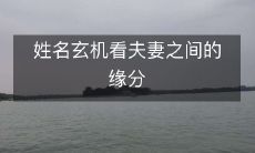 揭秘姓名玄学如何揭示夫妻之间的缘分奥秘