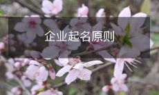 探索企业起名的原则与方法:从命名标准到文化符号再到商业趋势,如何取得最佳效果?