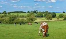 如何计算自己所剩余额及财富价值,包括金钱、财产和财务投资,以确定自身的几两几钱的命运
