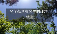 从名字中窥见的文化与哲学:以主字为基调的命名风格及其情趣
