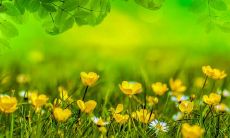 身体骨骼的质量直接决定了人的命运，八字轻重与命运息息相关