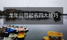 四大技巧教你如何在龙年公司中选取一个创新而具有个性化的名字