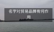探究名字对贸易品牌的重要性及作用:从起名策略到品牌形象塑造的多重影响