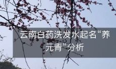 对云南白药洗发水命名为“养元青”的商业价值进行分析
