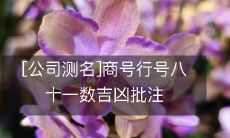 公司对商号和行号进行八十一数吉凶批注的测名结果