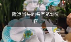 介绍笔画的名称带来着好运:有关隆起和头顶的名字笔画先容
