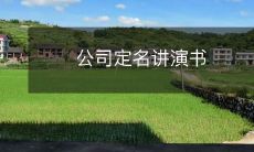 从公司命名到品牌塑造:掌握定名讲演书的关键,赢得市场竞争优势!