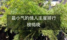 揭秘最吝啬的情人主星排名榜单,让你大开眼界