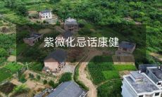 如何避免紫微神煞的化忌影响,从而保持身体健康?