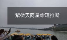 从紫微天同星命理入手,推断人生运势和命运走势