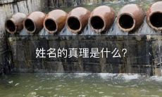 探究姓名背后的真相:名字到底代表什么?