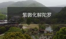 紫微宫的陀罗问题得到解决:通过星盘排布和排除不利星座来平衡宫位能量