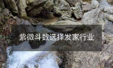 探索紫微斗数如何帮助你选择最适合发家致富的行业