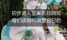 如何调整心态,应对初步进入空巢阶段的父母们?