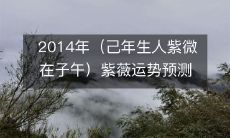 2014年出生的人（己年生人紫微在子午）的紫薇运势预测
