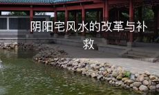 如何进行阴阳宅风水的改革和补救,以避免负面影响并提高生活品质?