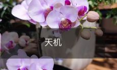 432年未解之天机:探索古代神秘预言和预警的奥秘