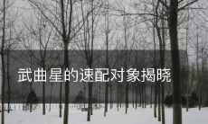 揭晓武曲星最佳速配对象，让你的爱情之路更顺畅！