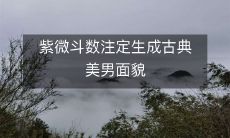 注定生为古典美男的面貌在紫微斗数中体现了怎样的神秘力量?