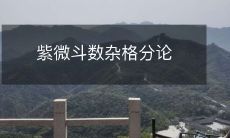 讨论紫微斗数中各种杂项因素的分论文