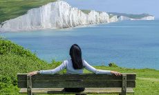 讲究办公桌上小盆栽的摆放位置,为创造舒适办公环境提供指南!