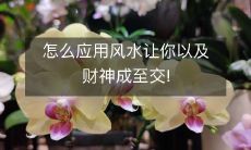 如何运用风水,让您和财神成为最好的伙伴?