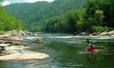 九鱼图是否为风水禁忌？相较于八骏马图，其是否具有较弱的风水功效？