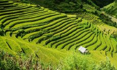 避免犯错！注意办公室鱼缸的风水禁忌，正确摆放才能助力事业成功