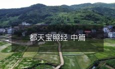 《都天宝照经》中篇：深入剖析大乘佛法的修行法则与禅修实践指南